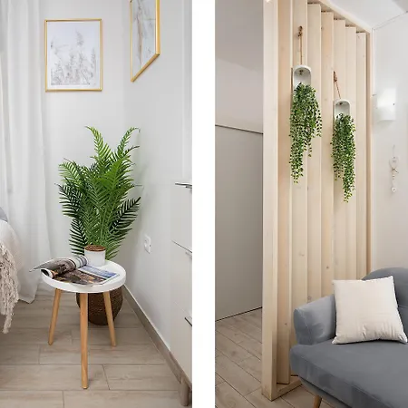 Elegant Next To Arena * プーラ