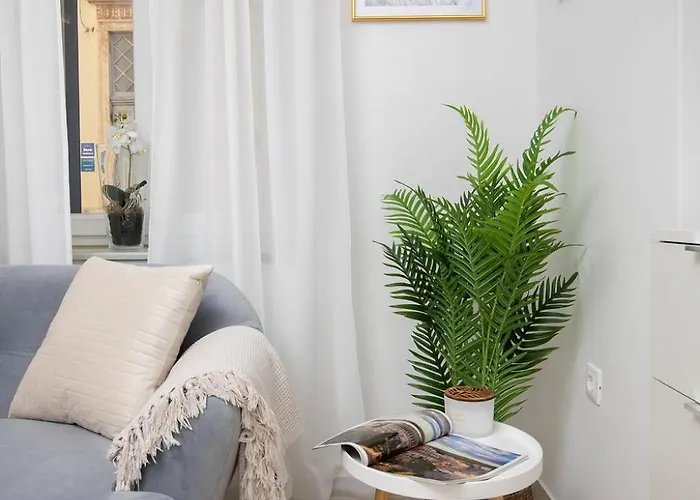 Elegant Next To Arena 풀라